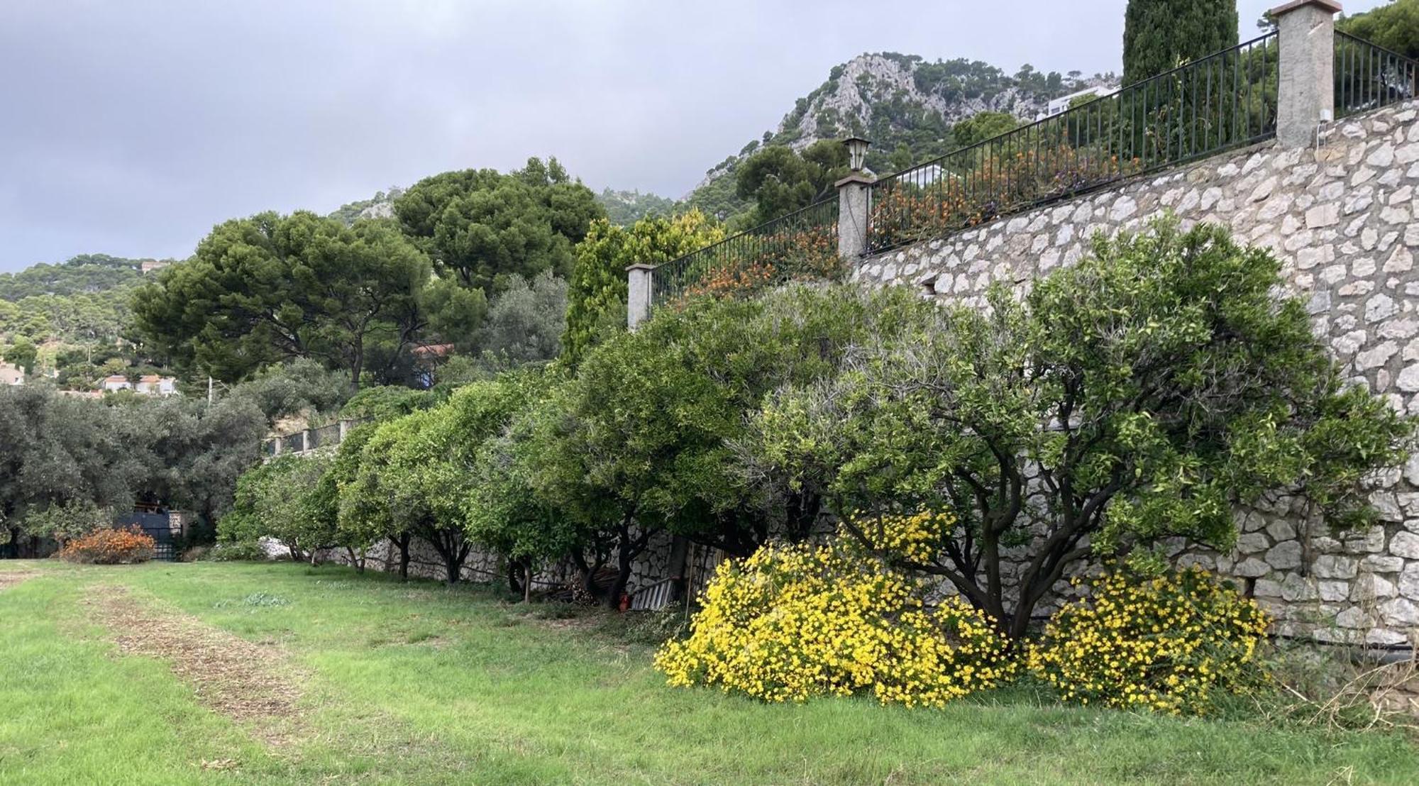 Mas Sainte Marie Apartment Toulon Bagian luar foto